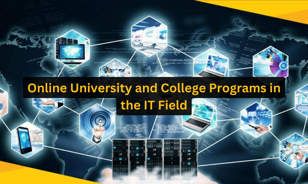 Online University and College Programs in the IT Field