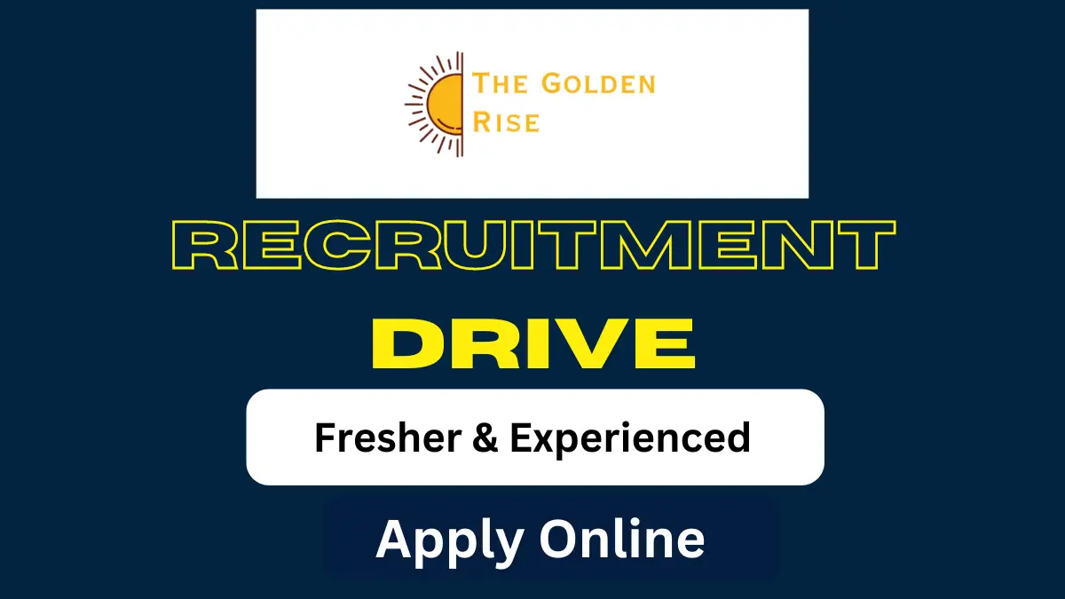 Web Developer Freshers Opening in The Golden Rise